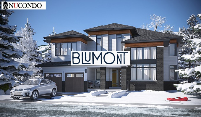 Blumont share price
